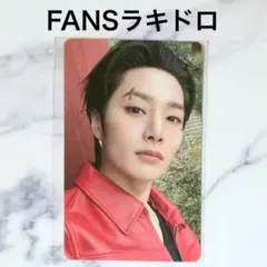 スキズ DO IT FANS ラキドロ 特典 トレカ アイエン