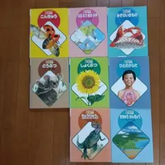 Item thumbnail for item 1890b709-76b9-41e0-8119-17b6071faf10