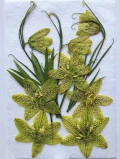 とも様 リクエスト 3点 まとめ商品