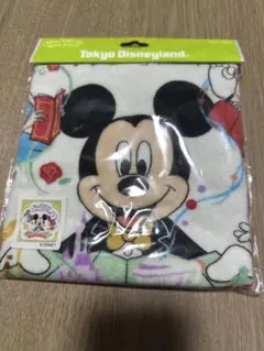 東京ディズニーランド ミッキーマウス タオル
