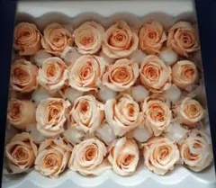 まぁ様 リクエスト 2点 まとめ商品