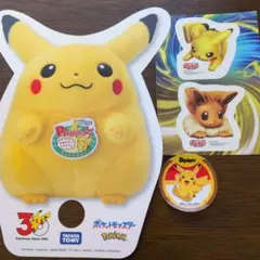 ポケモン　グッズ　うちわ