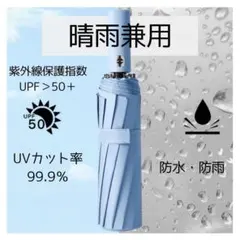 Item thumbnail for item 42eec6ee-4c42-4747-8d99-6b711060f6d8