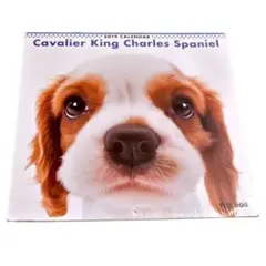 THE DOG　キャバリア・キング・チャールズ・スパニエル　2019年カレンダー