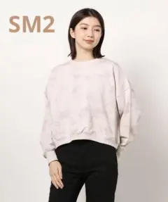 Item thumbnail for item 75b42d0c-595e-48ed-8421-63cfd9c85174