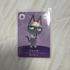 ジャック アミーボ