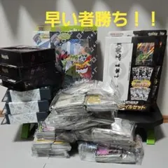 引退品　コレクションファイル　リーリエ　マリィのオーロンゲ　　スターターセット