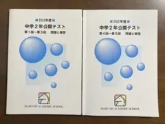 2026年最新】馬渕 公開テスト 中2の人気アイテム - メルカリ
