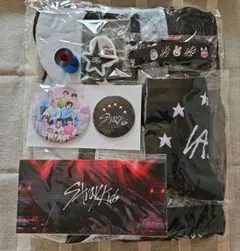 スキズ 5-star ドームツアー アップグレード 特典 グッズ 銀テ