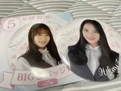 櫻坂46 遠藤光莉 BIG缶バッジ 【送料込】