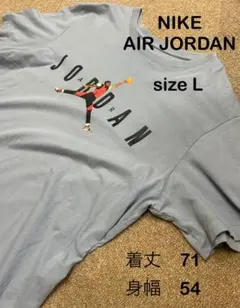 レア商品　NIKE AIR JORDAN Tシャツ サイズL