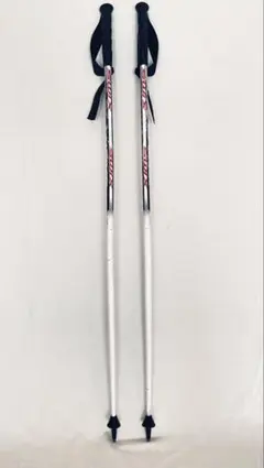 スキーポール ストック ブラック 1ペア