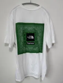 希少THE NORTH FACE x Supreme バンダナTシャツ XXL