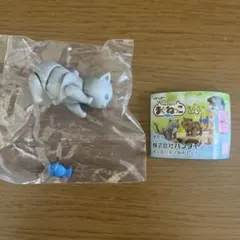 まぐねっこ