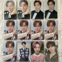 SEVENTEEN ディノ トレカ 12枚セット