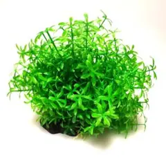 Item thumbnail for item 5d8df864-f621-4c57-91fd-a2a8ac26bba7