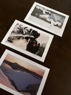 Item thumbnail for item 8e1e755d-eb3d-4b04-b9fa-6221c62d5a57