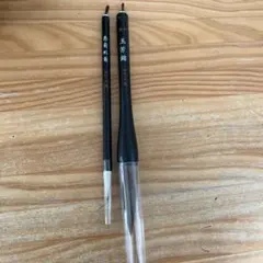 Item thumbnail for item 9755de1a-19bf-49cb-905f-db6b9eef5bef