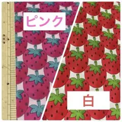 Item thumbnail for item ea2cb5ab-b9e3-43c6-b782-80339a1a4c08