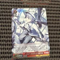 2025年最新】ヴァイスシュヴァルツの人気アイテム - メルカリ