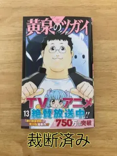 裁断済み　マンガ　Vol.13 裁断済み漫画】黄泉のツガイ 13巻 - メルカリ