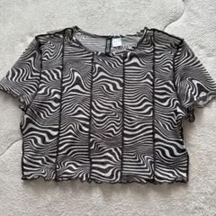 コ*ズ様 DIVIDED ゼブラ柄 クロップドTシャツ Mのサムネイル