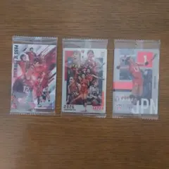 バレーボール 日本代表 カード 3枚セット