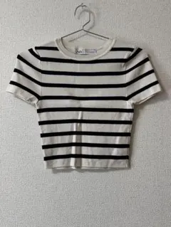 ZARA ストライプ 半袖ニット S