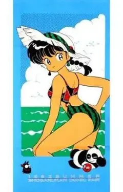 らんま1/2 高橋留美子展 布製タペストリー - メルカリ