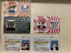 Item thumbnail for item 396d5744-59d5-46b7-a4e0-eb6534555fb9