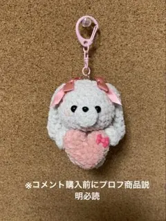 ル*ロ様 あみぐるみ　 プリンセスモールで編んだピンク大好き垂れ耳うさちゃん