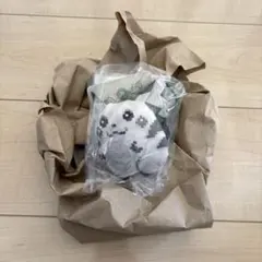 はじまりのピカチュウ　マスコット