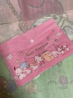サンリオキャラクターズ　A 5サイズ　クリアスナップケース　sanrio