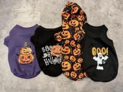 Item thumbnail for item 439014cf-767b-4a18-8f5e-38f0a4297cf4