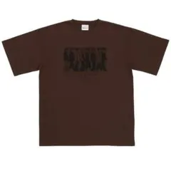タイムレス　MOMENTUM ペンライト、Tシャツ タイムレス momentum Tシャツ&ペンライト - メルカリ