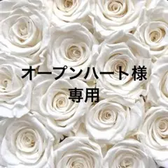 オープンハート様専用ページ