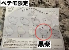 うちの子けだまだま　犬　ペテモ限定　黒柴