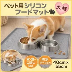 Item thumbnail for item a45e9a44-c73c-4e93-b10d-52440c33773c