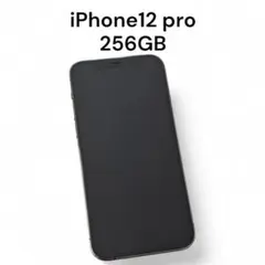 Apple iPhone 12 Pro 256GB グラファイト