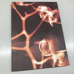 （G）I-DLE / I Burn