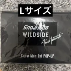 貴重 少年隊劇場限定CD WINDOW＋ノベルティグッズ - メルカリ