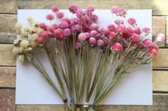 Item thumbnail for item bac80ca1-fcd8-4a12-9abe-d543fc5d7de3