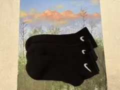 Item thumbnail for item 2f737954-a63e-47d4-92dc-4c65ec01a2d5