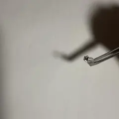 Item thumbnail for item c9f621ff-c66c-4257-9485-5c4593dc936b