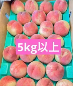 大玉トマト 麗月 正規品 AB品 12キロ | Mercari