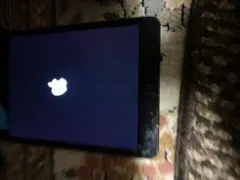 Apple iPad Mini (16GB, ブラック)au版