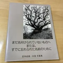 まだ名付けられていないものへまたは、すでに忘れられた名前のために : 宮本成美…