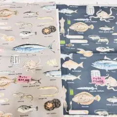 魚のイラスト生地 43x108 44x108 2枚セット