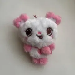 NCT WISH サクヤ パン wish doll ぬいぐるみ - メルカリ