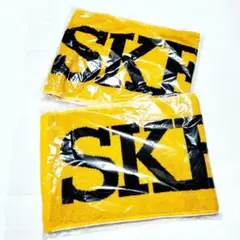 新品 2枚セット SKE48 マフラータオル グッズ まとめ売り